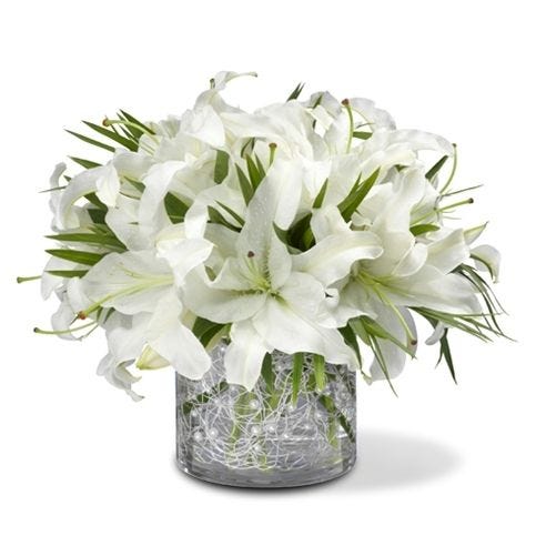 White & Wondrous