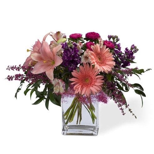 Pink & Purple Celebration