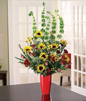 Sunflowers, red tulips and bells of ireland in red vase
