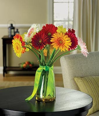Gerberas Galore!