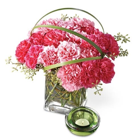 Contemporary Carnations