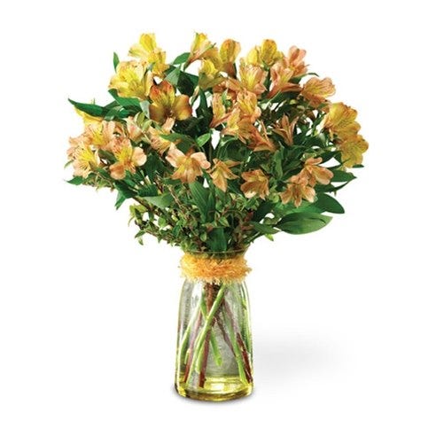 Burst of Alstroemeria