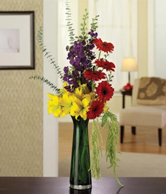 Delightful & Cheery