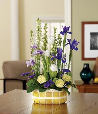 Blue irises, purple flowers and white tulips in basket 