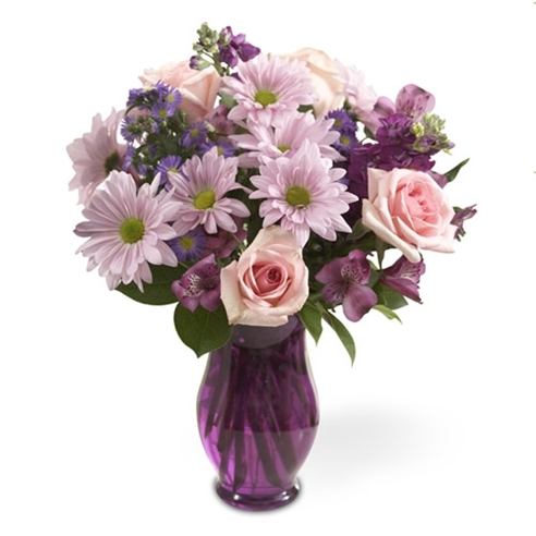 All About Purple