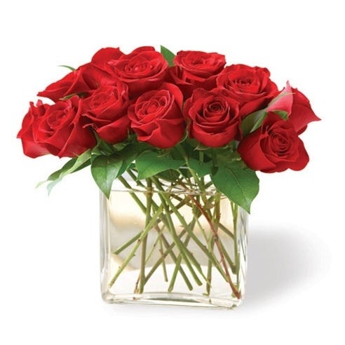 Modern Roses  One Dozen Red