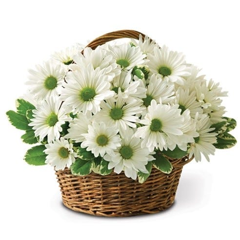 White Daisy Basket