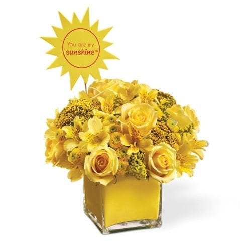 You Are My Sunshine