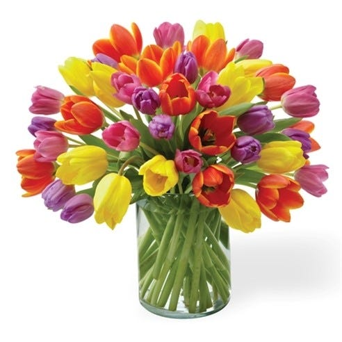 Tulips of the Field