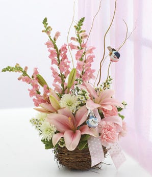 Baby Girl Pink Flower Nest