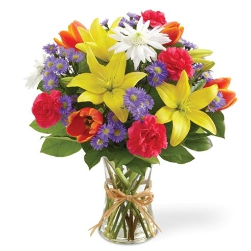 Celebrations in Bloom