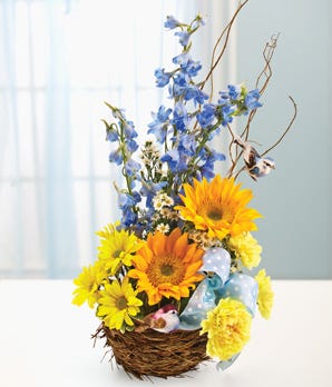 Baby Boy Blue Flower Nest