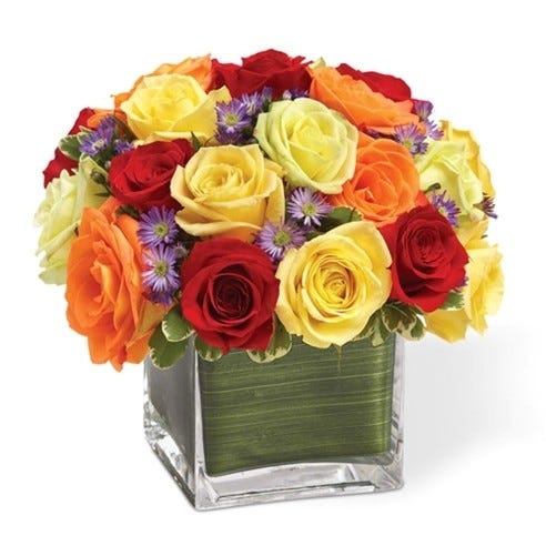 Rainbow of Roses