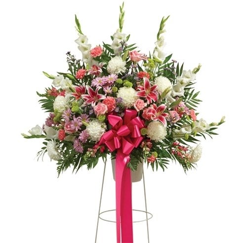 BN91407.jpg?auto=webp&quality=80