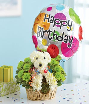 1-800-Flowers® Party Animal™