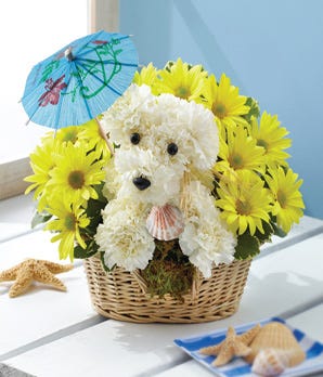 1-800-Flowers® Doggie Paddle™