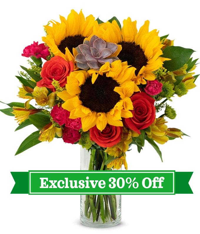 Gift bouquet with succulent, sunflowers, orange roses, yellow alstroemeria, hot pink mini carnations, solidago, green button poms, and salal in a glass vase.