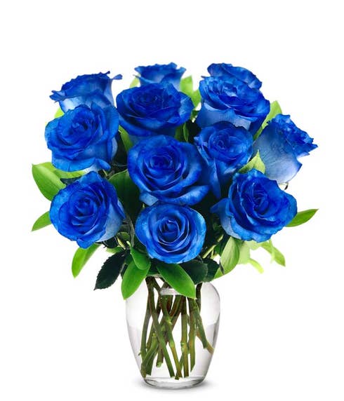 One Dozen Royal Blue Roses