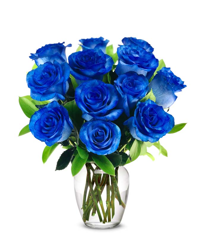 One Dozen Royal Blue Roses
