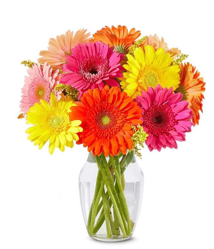 Gerbera daisies in a boxed flowers delivery of mixed daisies and cheap flowers
