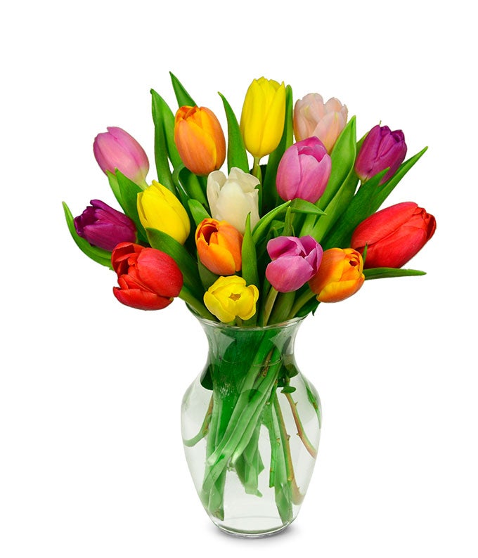 15 Pieces Assorted Tulips