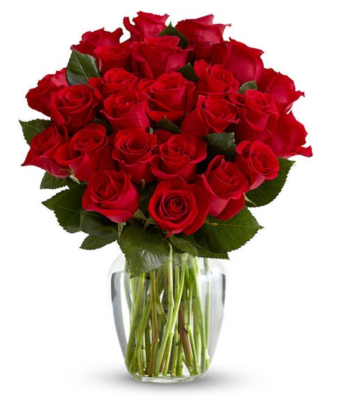 Arrangement of two dozen red roses with green foliage in a clear glass vase. A luxurious and romantic floral display symbolizing deep love and affection, ideal for Valentine’s Day or anniversaries.