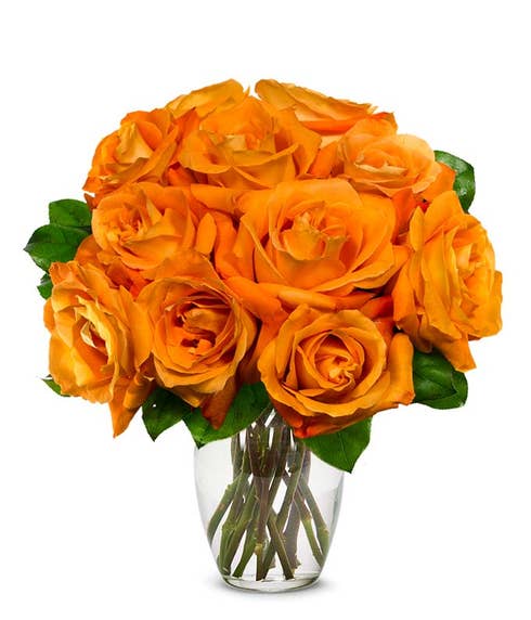 A dozen orange roses bouquet, orange rose bouquet delivery of discount flowers