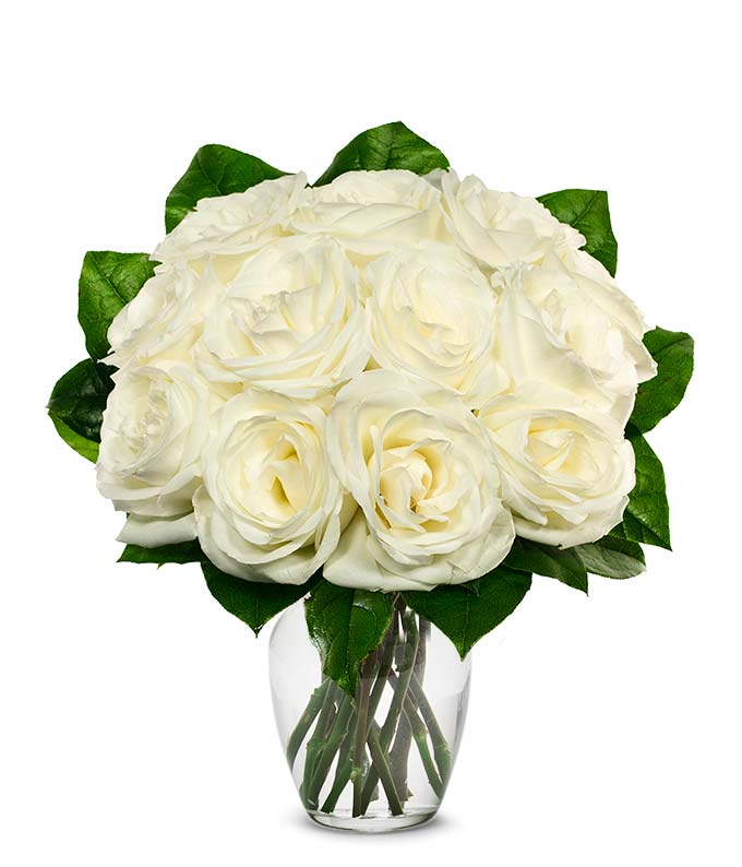A Bouquet of 12 Pieces Ivory Roses Packed in a Box Vase is Optional with Card Message