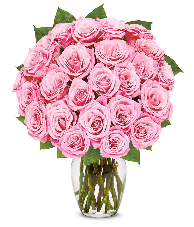 two dozen pink roses bouquet