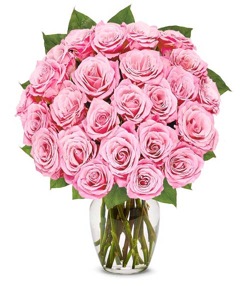 2 dozen pink roses in a box, a boxed two dozen pink roses delivery