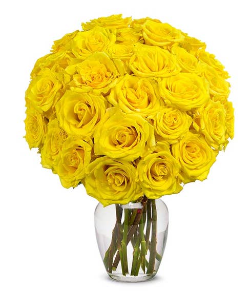 2 dozen long stem yellow roses in a box with a card, send 2 dozen yellow roses