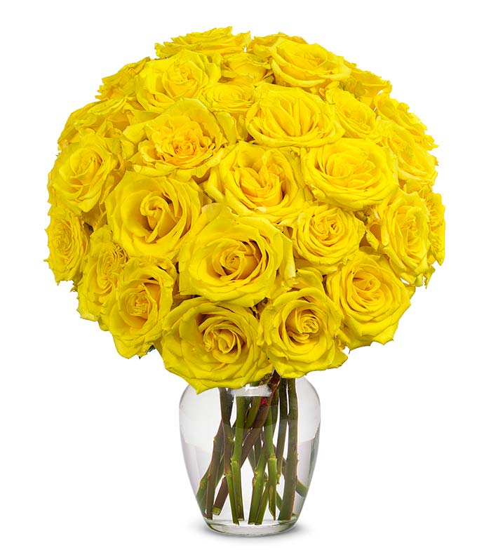 2 dozen long stem yellow roses in a box with a card, send 2 dozen yellow roses