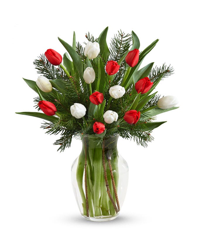 Dazzling Dozen Christmas Tulips