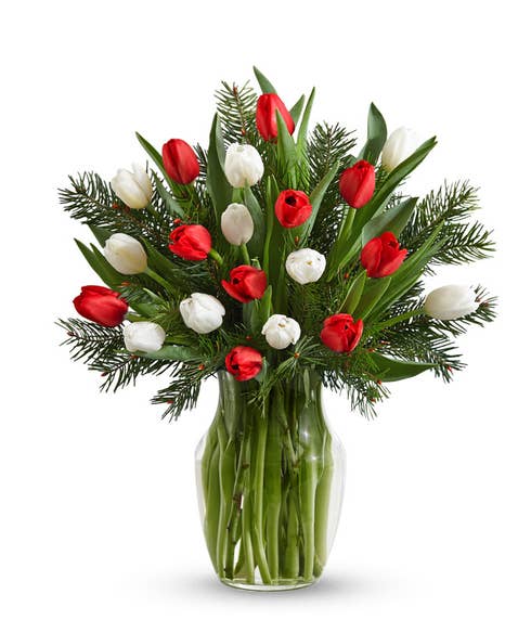 Luxury One and a Half Dozen Christmas Tulips