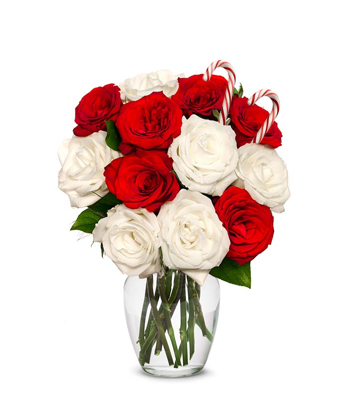 Have Christmas flowers delivered with white roses, red roses, cheap flowers in a candy cane bouquet