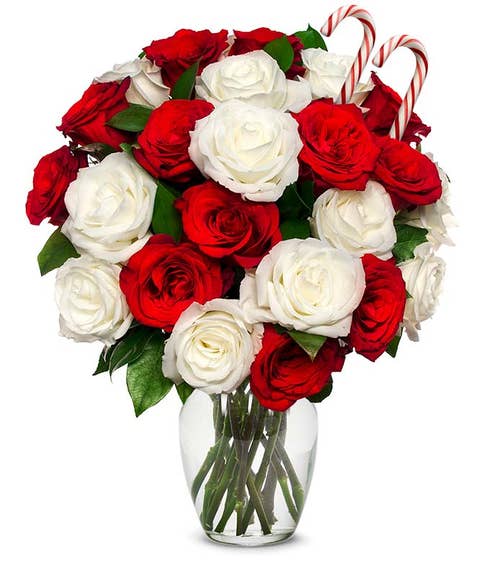 Christmas flowers bouquet with white roses and red roses for cheap flower delivery