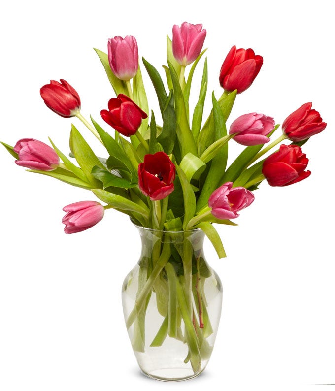 Perfect Pink & Red Tulips