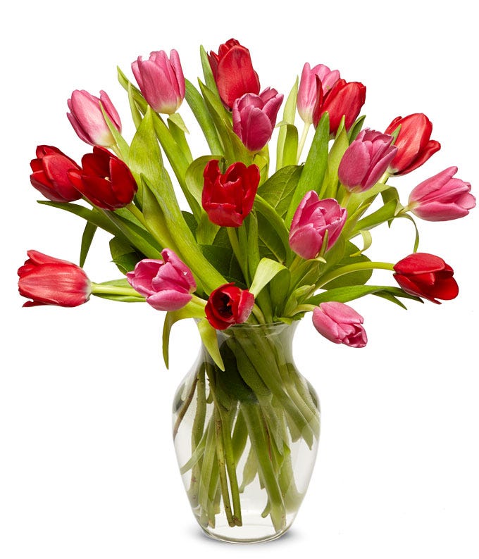 18 Perfect Pink & Red Tulips