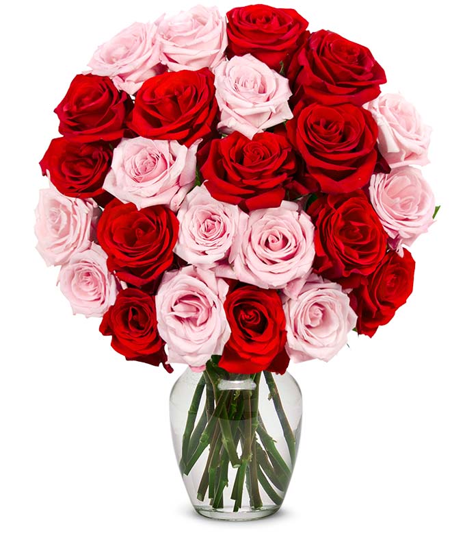 Two Dozen Red & Pink Roses