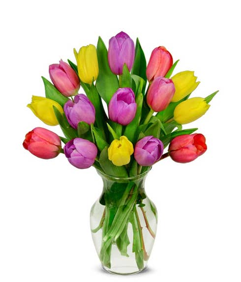 Sweet Spring Tulip Bouquet - 15 Stems