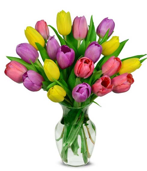 Sweet Spring Tulip Bouquet - 20 Stems