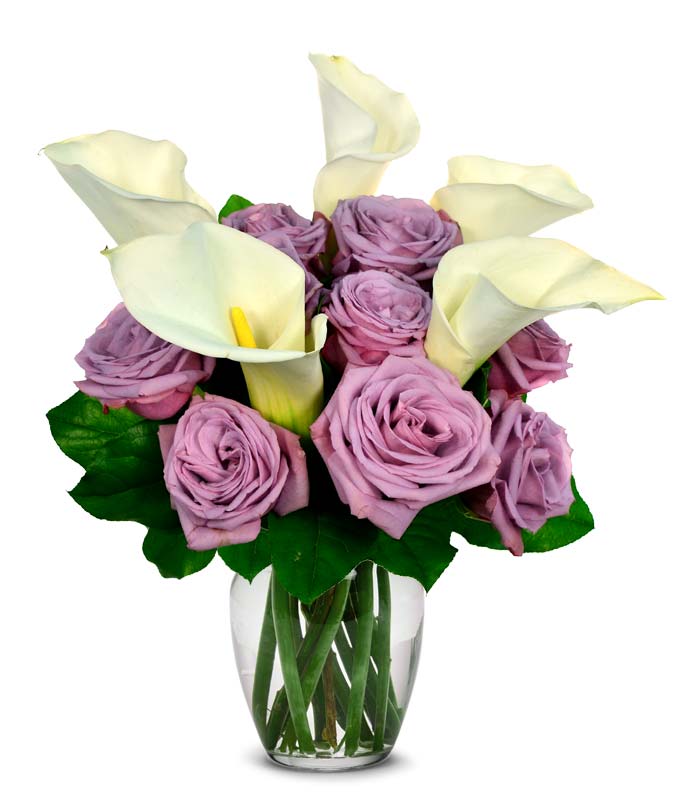 White calla lily delivery and white calla lily bouquet with purple roses