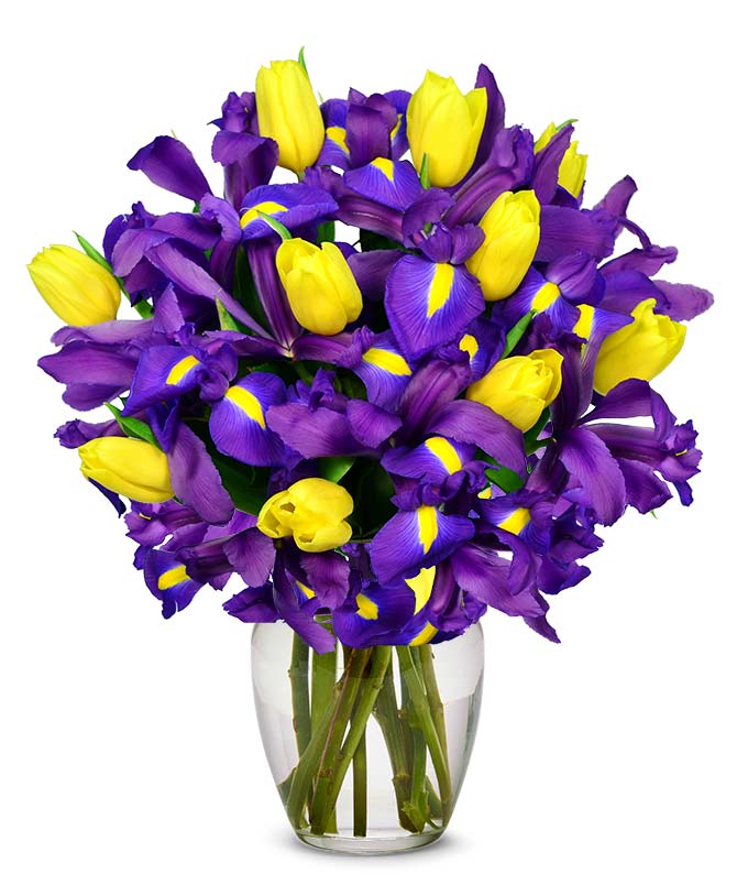 A Bouquet of Yellow Tulips and Blue Iris Vase is Optional with Personal Card Message