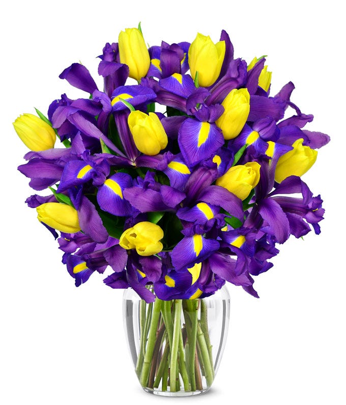 Yellow and purple iris bouquet, iris flower delivery with yellow tulips