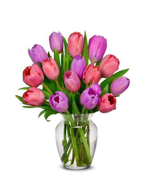 Pretty in Pink and Purple Tulips - 15 Stems