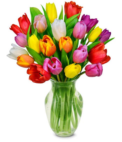 Rainbow tulips bouquet of cheap tulip flowers delivered in a box