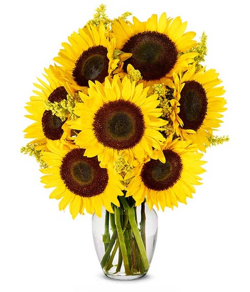 Summer Sunflower Bouquet