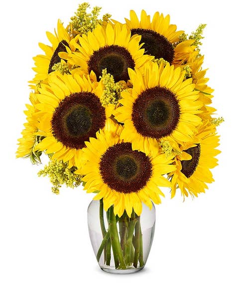 arrangement of sunflowers