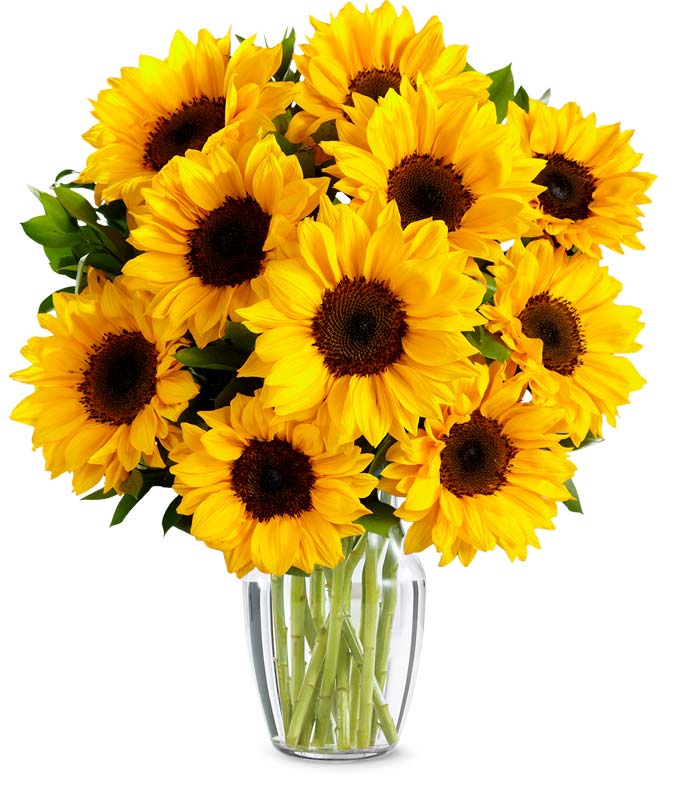 arrangement of sunflowers