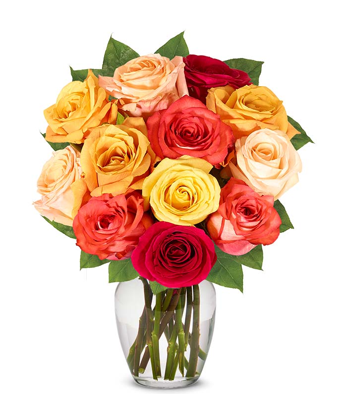 One dozen fall roses with red roses, orange roses delivered in a box